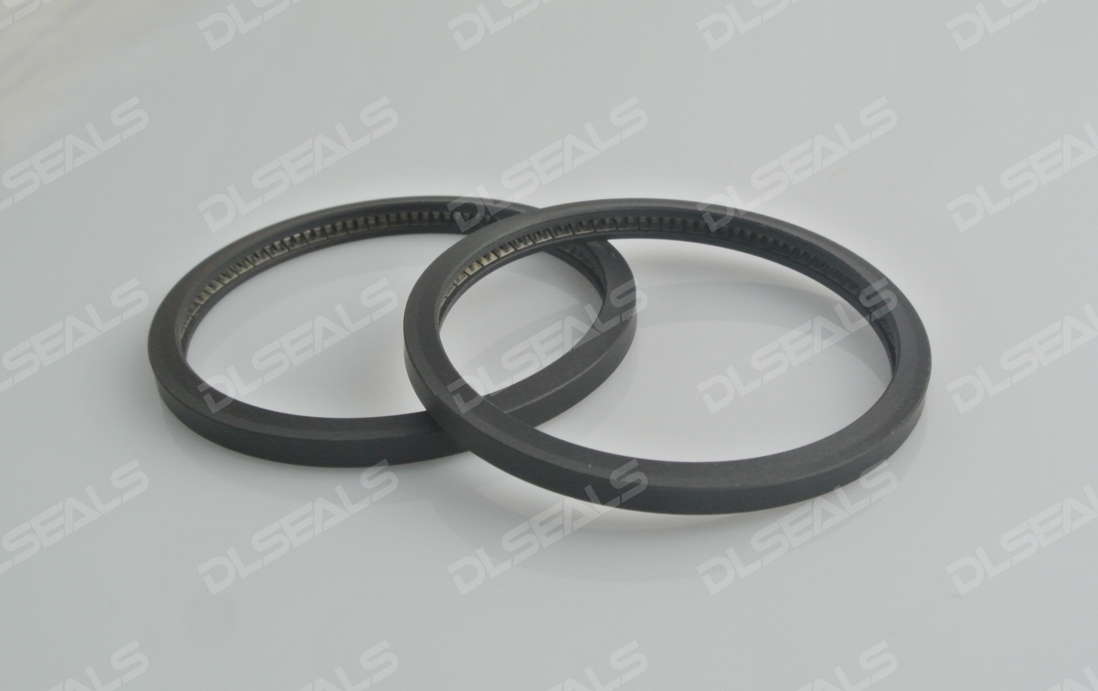 Spring Energized Seal