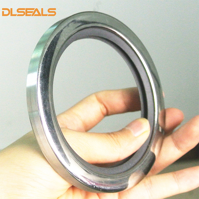 DLSEALS Hidraulične uljne brtve od nehrđajućeg čelika PTFE s dvostrukom usnom (4)