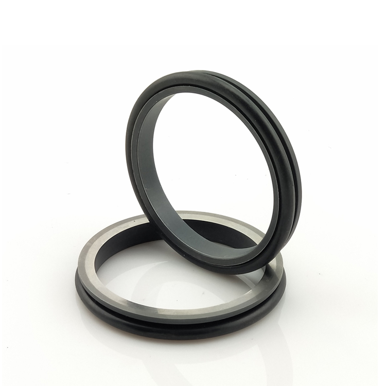 Naglutaw nga oil seal (5)