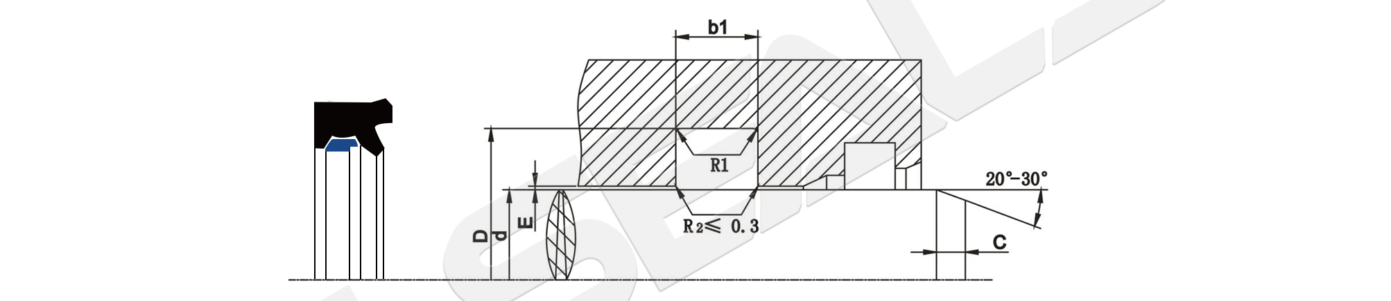 GTDI Double lip in-line seal (2)