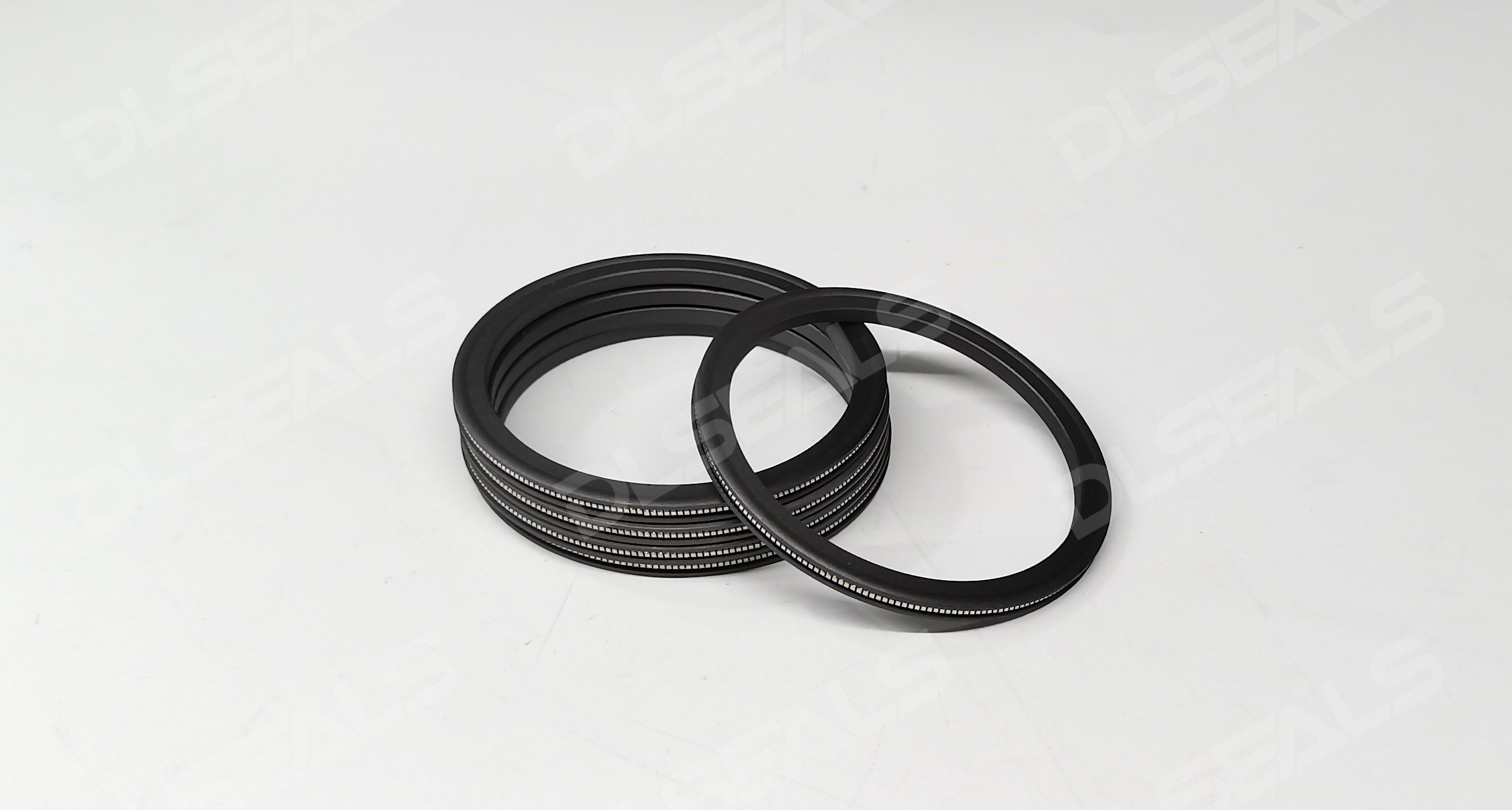 Spring Energized Seals