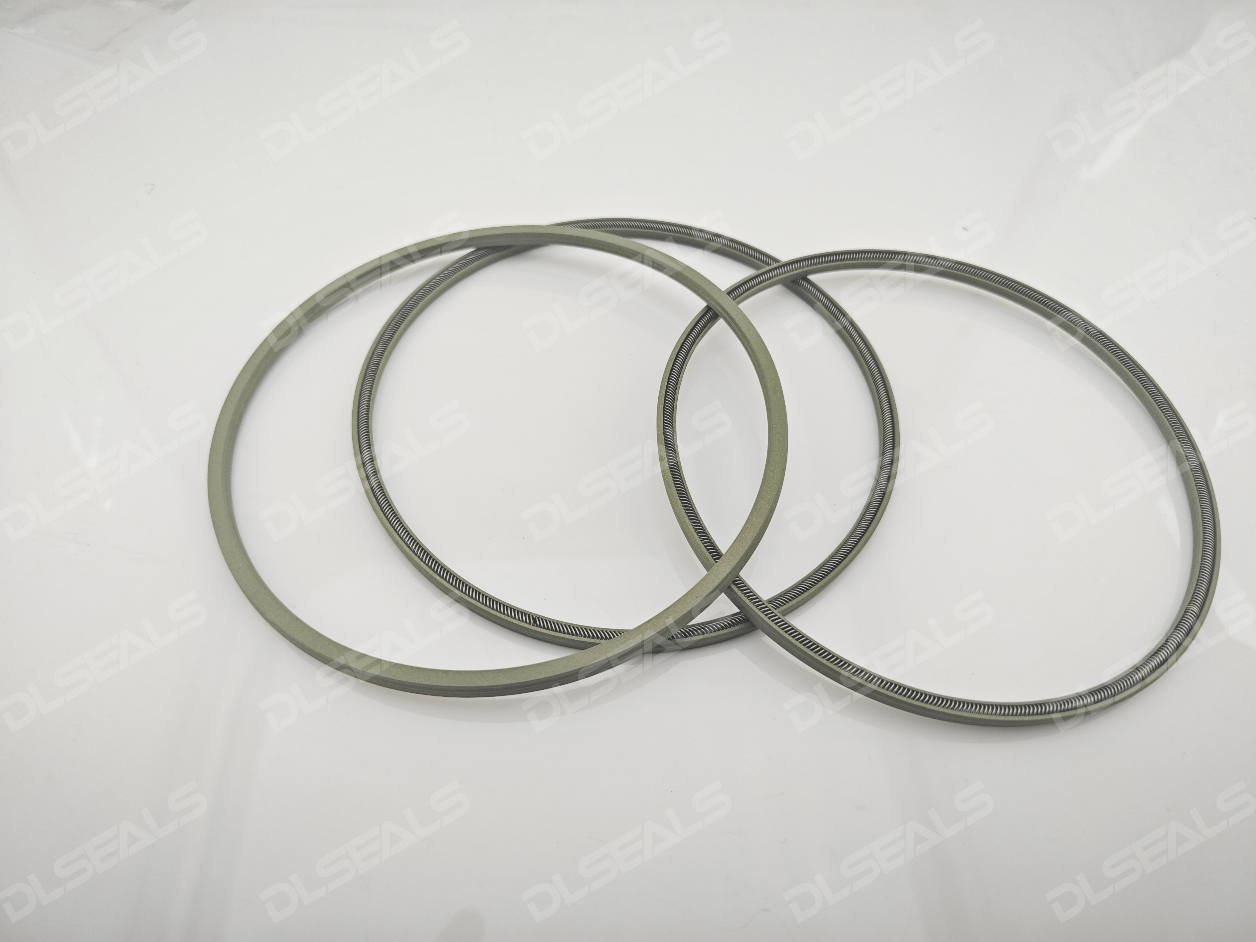 Spring Energized Seals