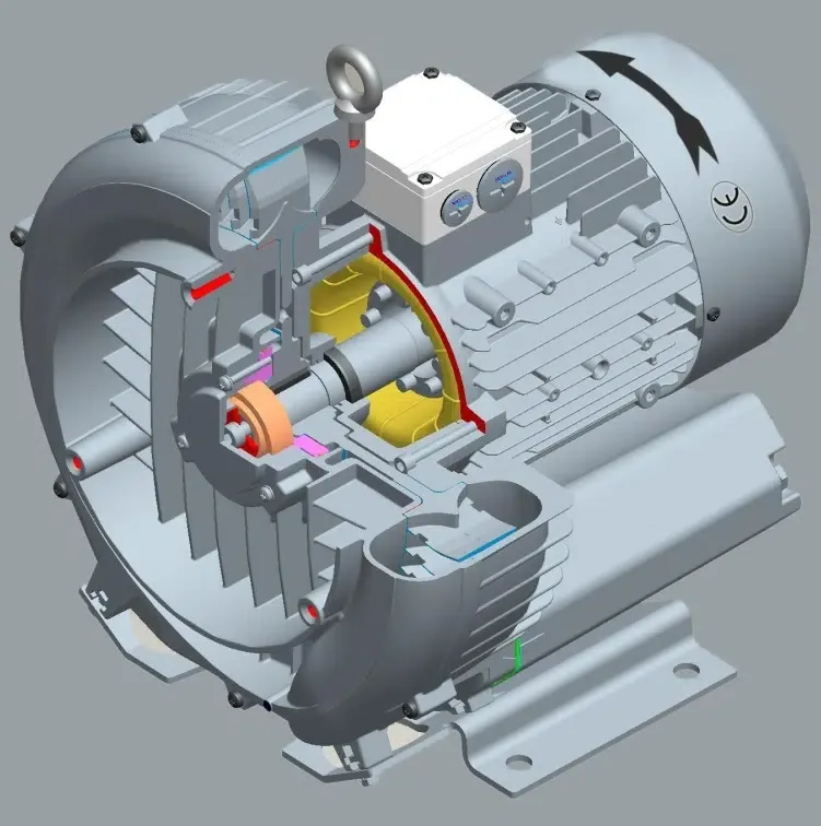 Vacuum pump seals